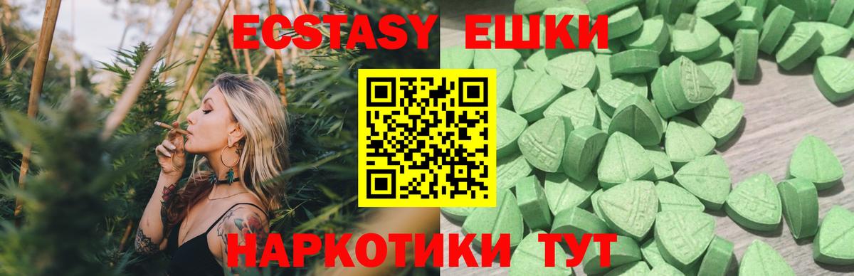 Ecstasy Philipp Plein Краснодар