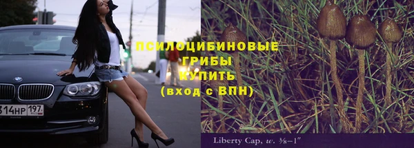 гашик Лагань