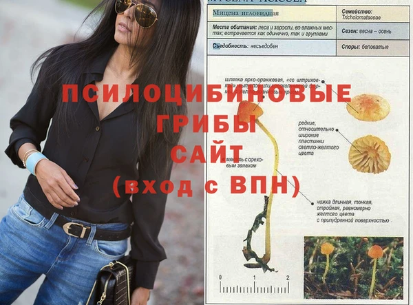 амфетамин Ладушкин