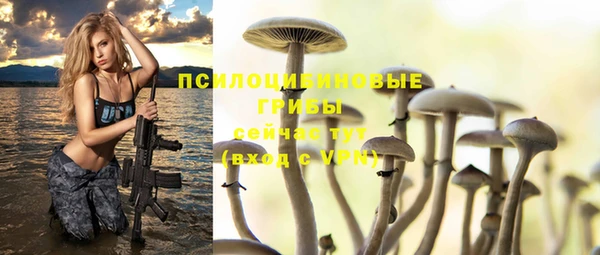 PSILOCYBIN Лабытнанги