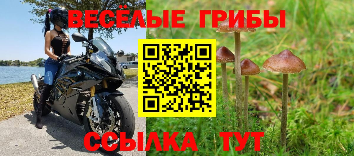 Псилоцибиновые грибы Psilocybe  Вход с VPN  Краснодар  Галлюциногенные грибы мицелий 
